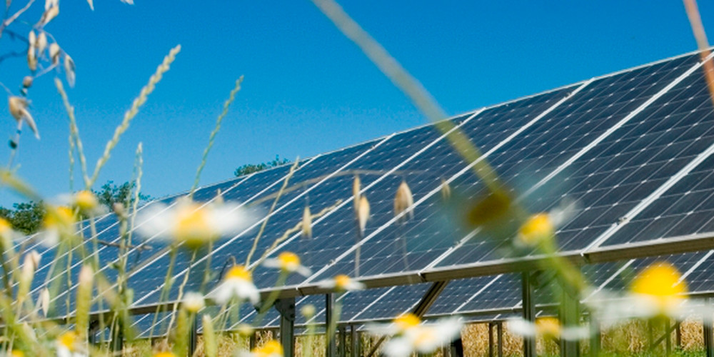 Solar Panel Companies In The UAE