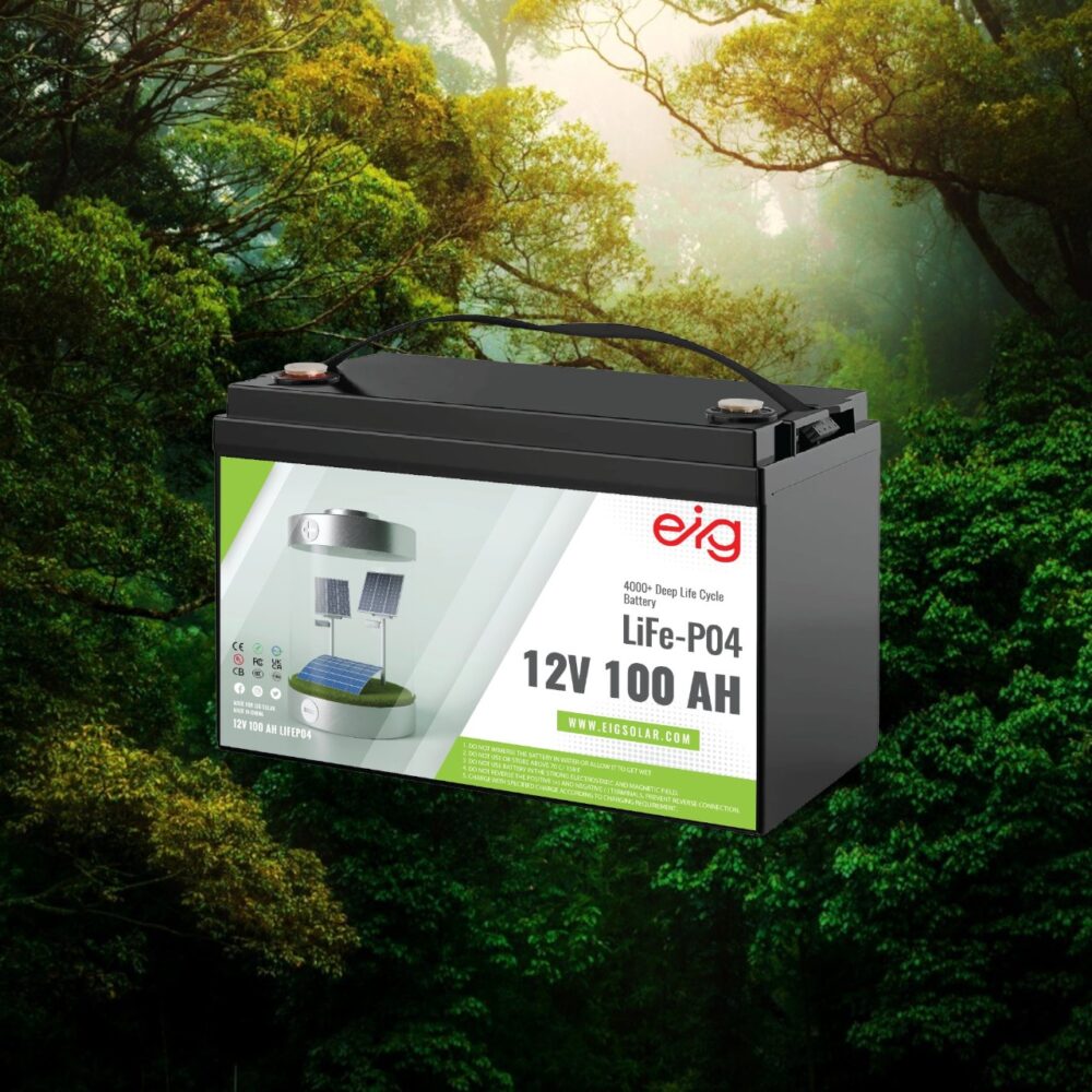 EIG 12V 100AH LIFEP04 BATTERY